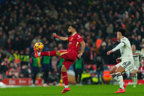 球员政策的 球员政策的