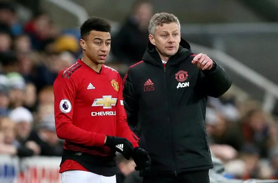 记者法布里 记者法布里